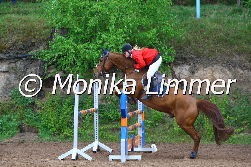 005L4291_Filou_Spring A_R-IQ Cup.JPG